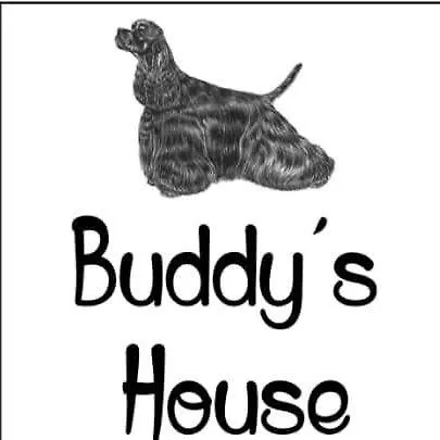 Buddy'S House Abbadia Lariana